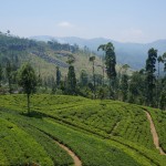 Sri Lanka, la larme de l’Inde