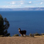 Copacabana, Isla del Sol et lac Titicaca