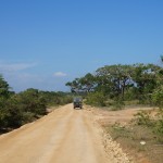 Safari au parc de Yala