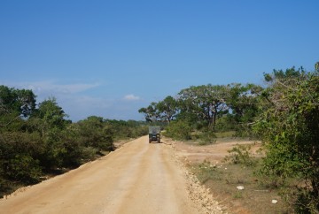 safari parc de yala