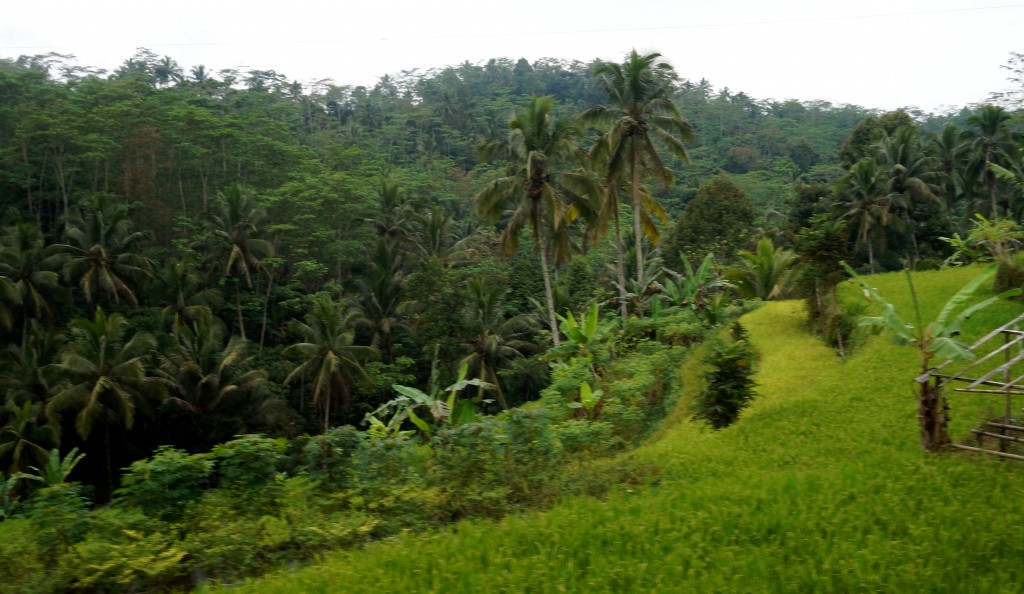 Plateau de Dieng Java