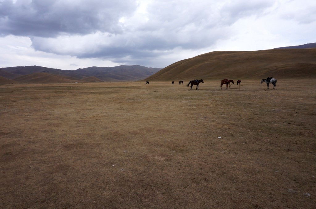 Kirghizistan trek cheval