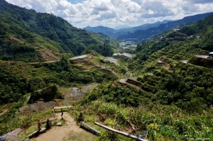 Rizières Banaue Philippines
