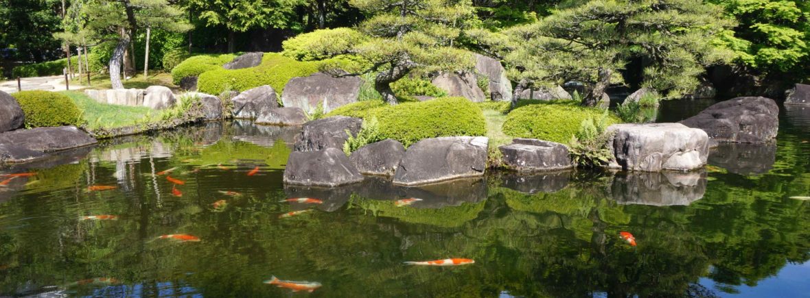 jardin japonais, Yoyogi Koen, tokyo